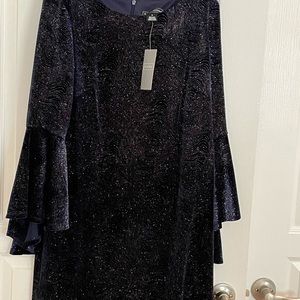 Holiday Dress never worn from Laura. Paid $178 plus tax. Size 14